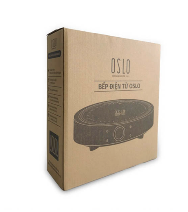 Bếp từ đơn FS-IC002