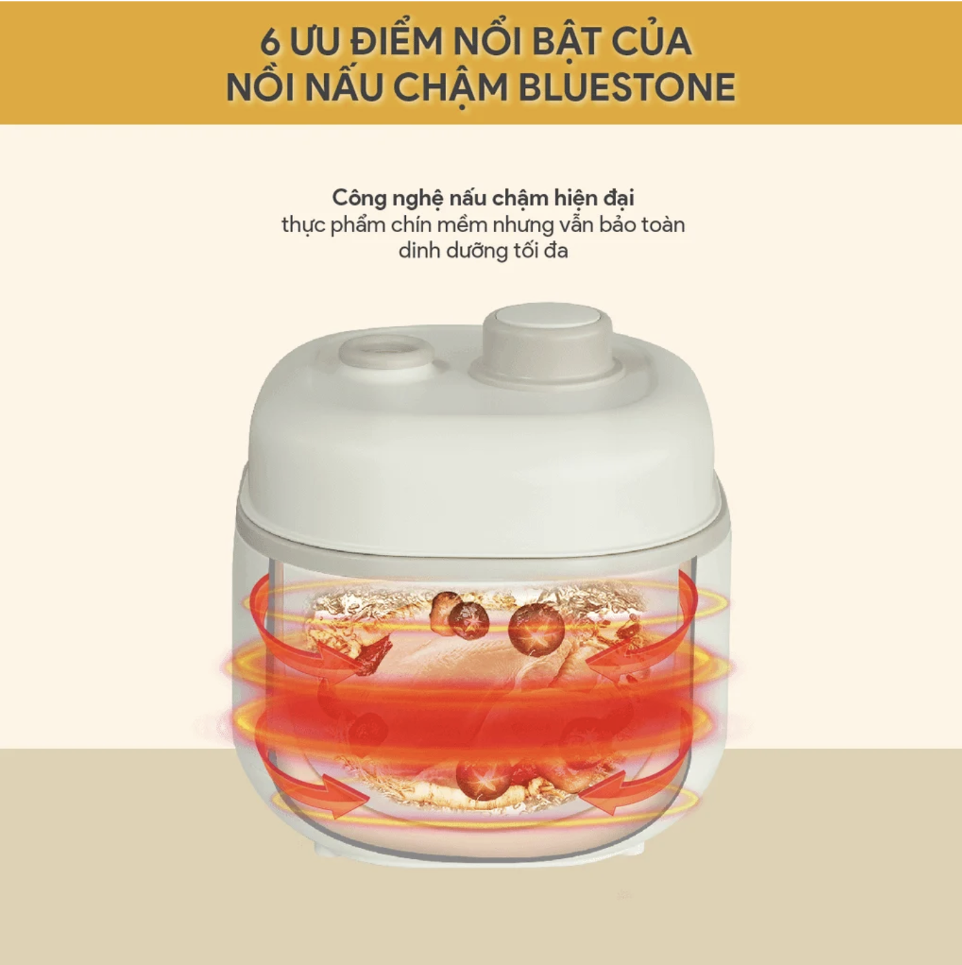 Nồi nấu chậm BlueStone SCB-6119