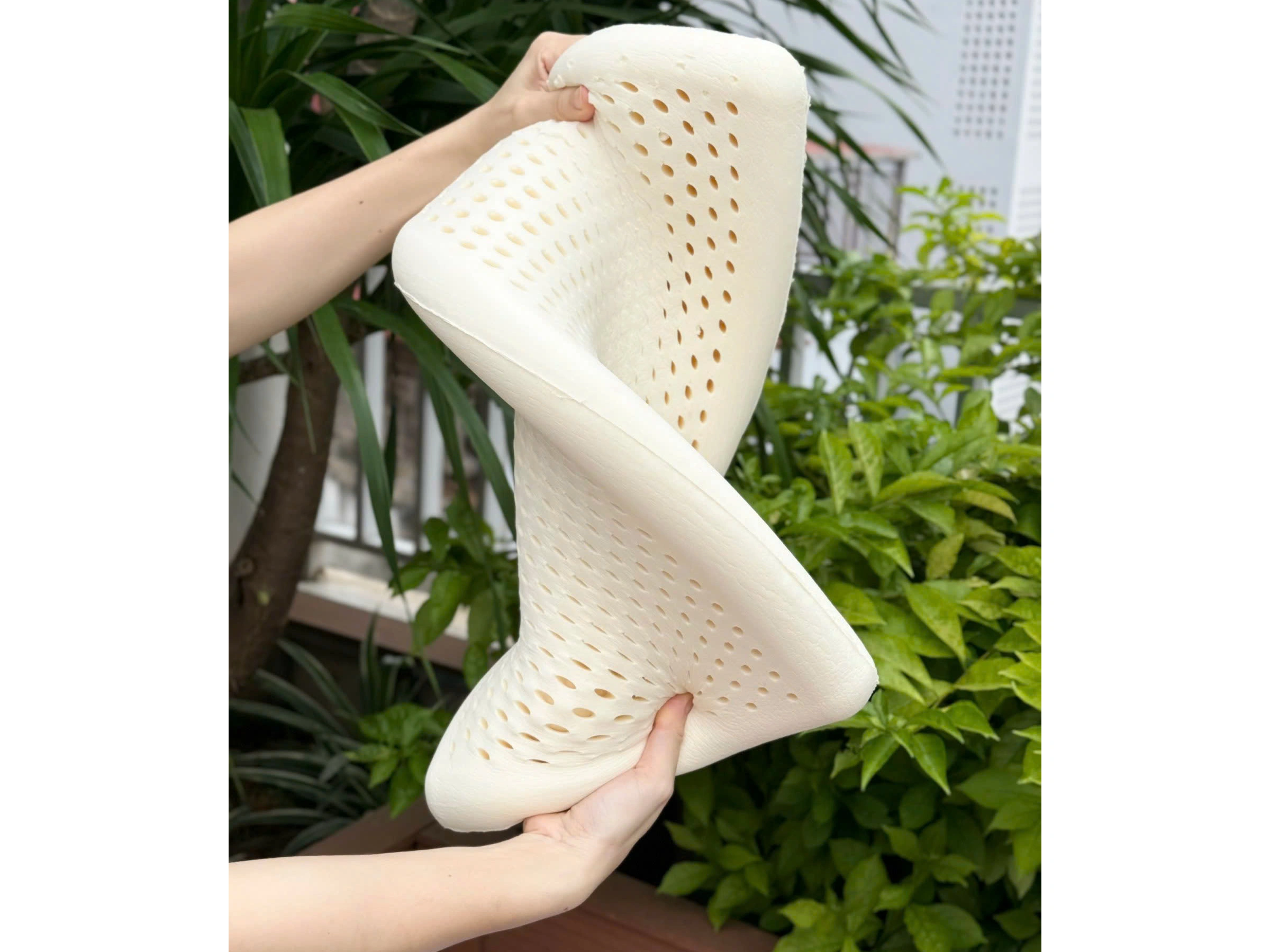 Gối cao su tự nhiên Kaiyo dáng thấp 5cm KPR-9279
