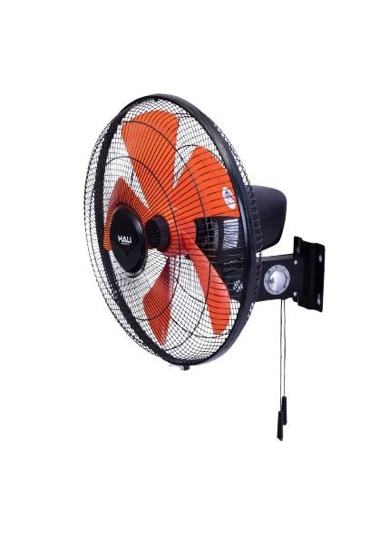 Quạt Treo Tường Hali TC168
