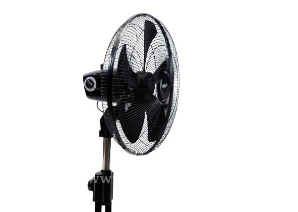 Quạt Sàn Công nghiệp Hali LS209