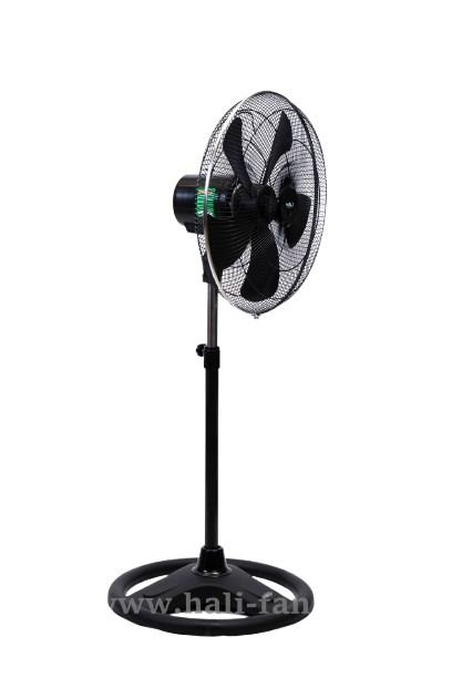 Quạt Đứng Công Nghiệp Hali DC209-N